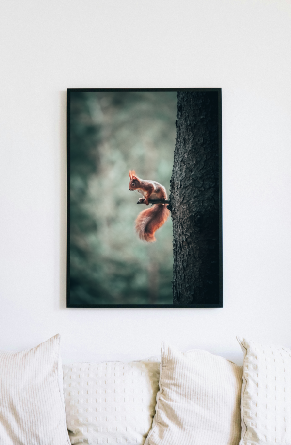 "Eichhörnchen 1" – Bild 2