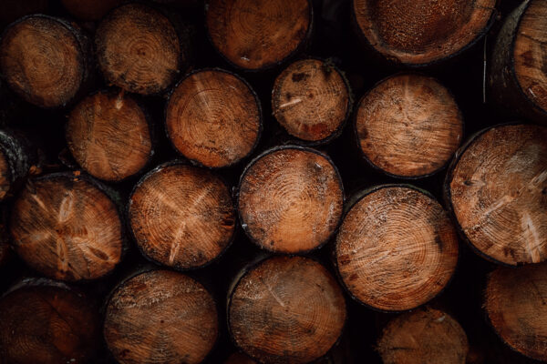 Holz aus dem Schwarzwald